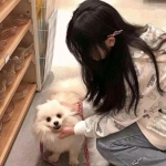 使命出击荣耀战场手机版下载
